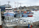 Grönländer - Fischfang